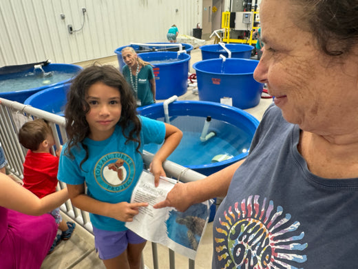 Sea Turtle Seven supports Karen Beasley Sea Turtle Hospital with 7% of proceeds.