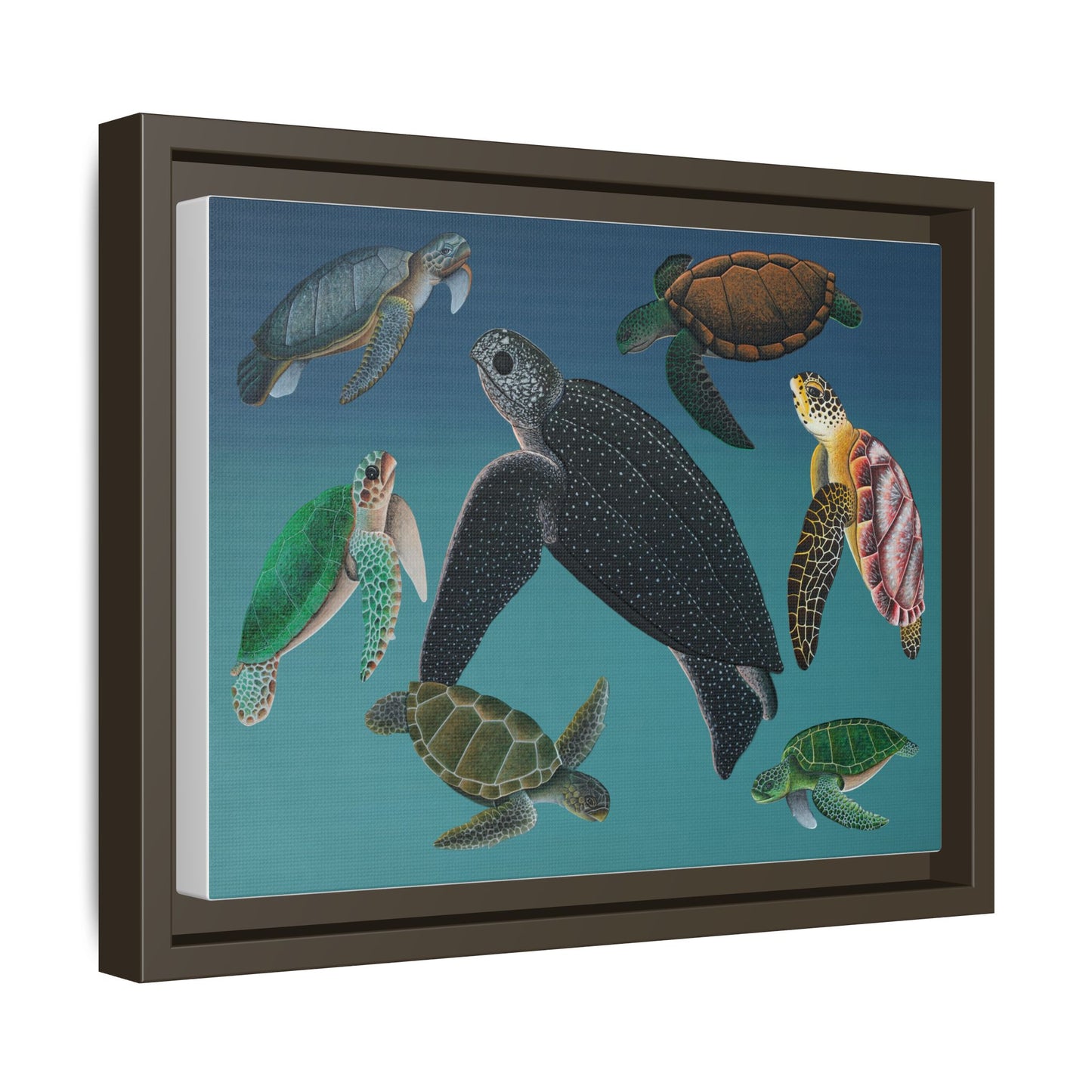 Matte Canvas, Framed - Sea Turtle Seven