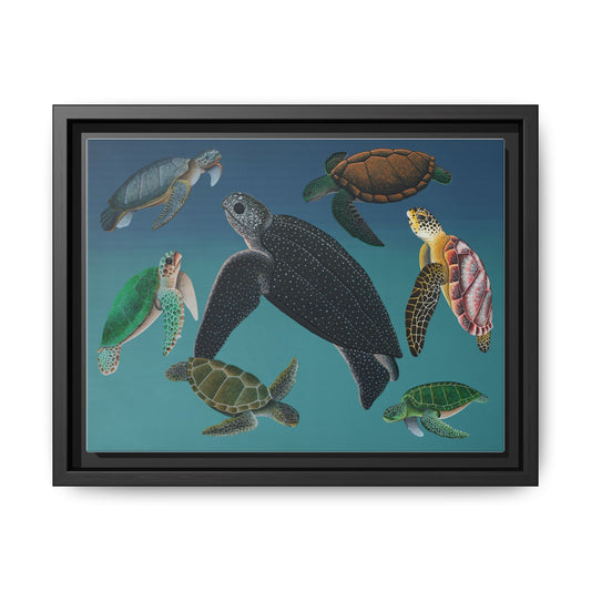 Matte Canvas, Framed - Sea Turtle Seven