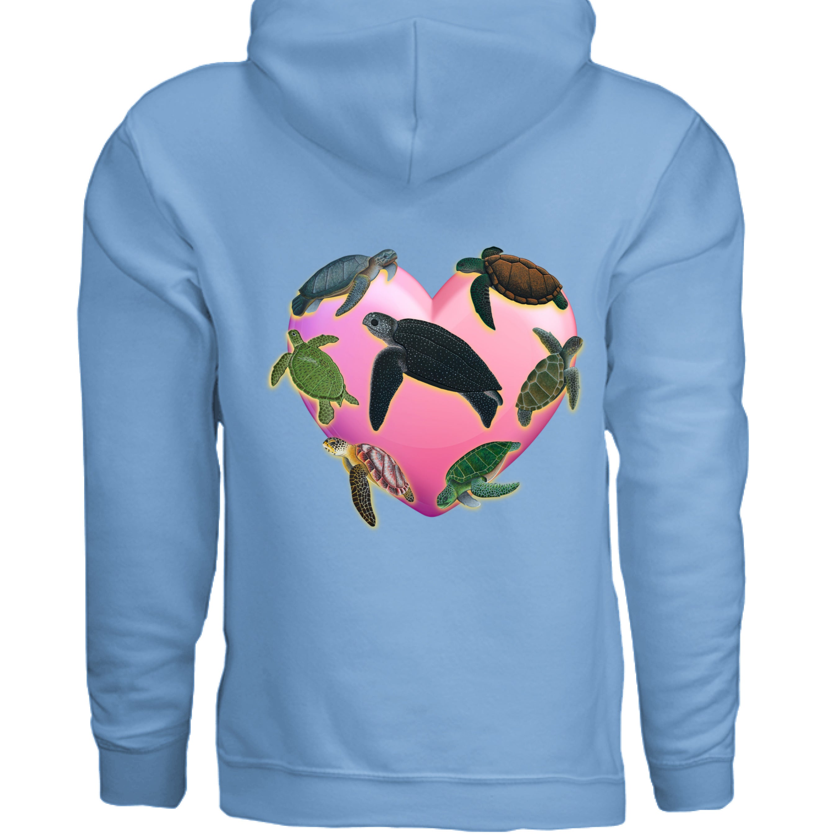 Carolina Blue - BACK